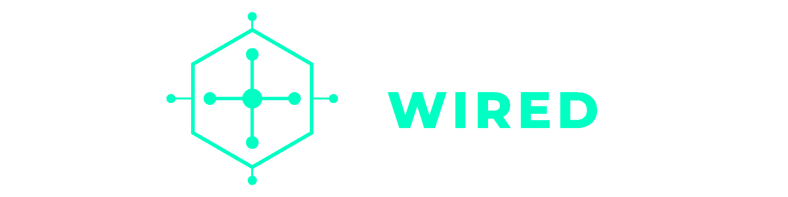 Logic Wired logo