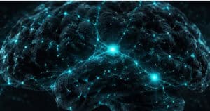 Your brain decides before you know it